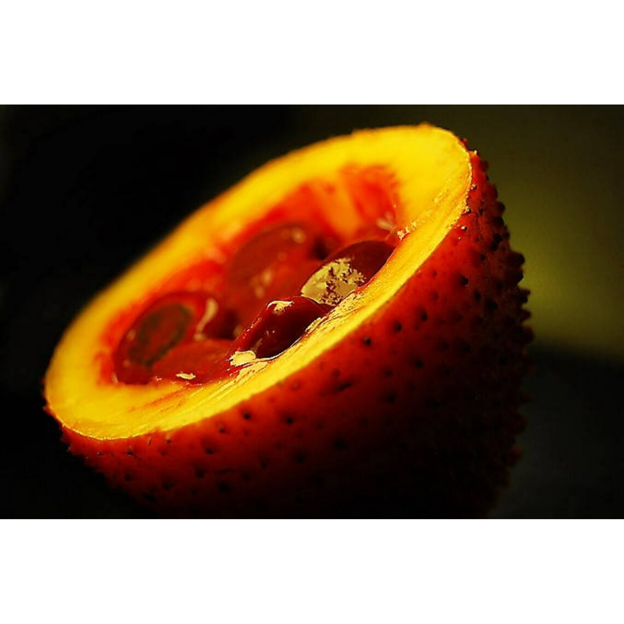 果物 mdii Gac Fruit (Momordica cochinchinensis) Seeds (3) : Amazon.ca