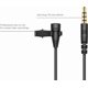 thumbnail image 3 of Micrófono Sennheiser XS Lav Mobile para creación de contenido, 3 of 6