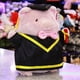 thumbnail image 3 of Peluches de Graduación PELUCHERIA 30 cm Yupi Cerdito Negro, 3 of 5