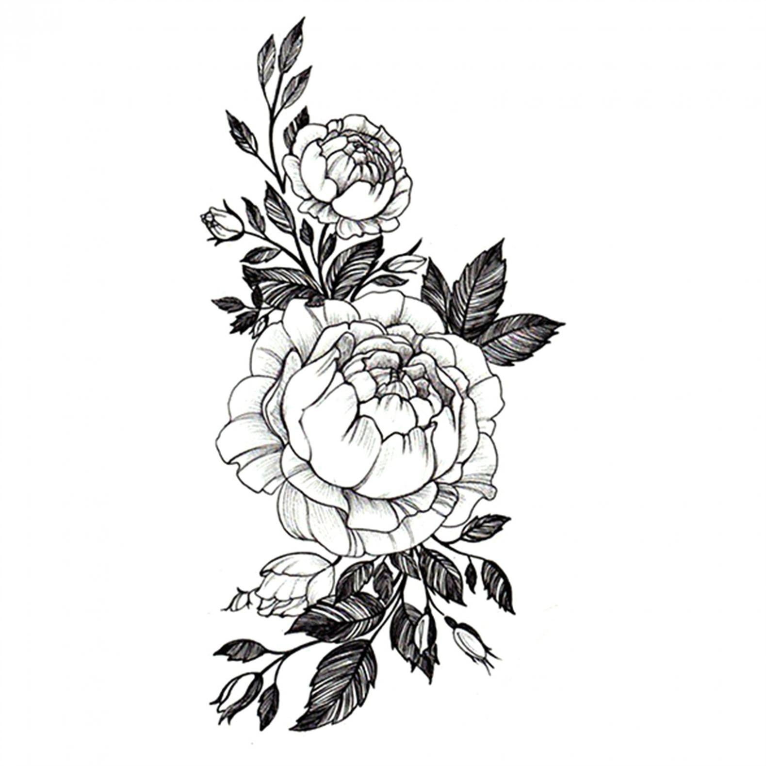 Azalea Flower Doodle Art Azalea Zentangle Line Drawing Azalea Flower  Tattoo Black and White Azalea Flower Tattoos for an Arm Stock Vector   Illustration of doodle tatto 278312996