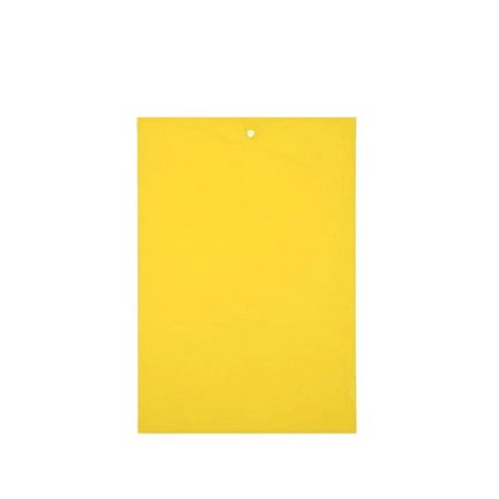 CLZOUD 20PCS Sided Yellow Sticky Gnat Traps for Indoor/Outdoor Flying Insect Double Sided Thickening Yellow
