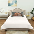thumbnail image 6 of Dailycode Satin Pillow Case Queen Silk Pillow Cover for Hair and Skin Envelope Closure Little Dinosaur on Book 20"x30", 6 of 9