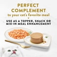 thumbnail image 6 of Purina Fancy Feast Appetizers Wet Cat Food, Steamed Alaskan Salmon, 1.1 oz Trays, 10 Pack, 6 of 10