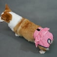 thumbnail image 4 of Pebbuoy Dog Menstrual Pants Female Dog Sanitary Pants Dog Period Panties Breathable Stripe Pattern Prevents Soiling Harassment Female Dog Diaper Briefs for Untrained Puppies, 4 of 8