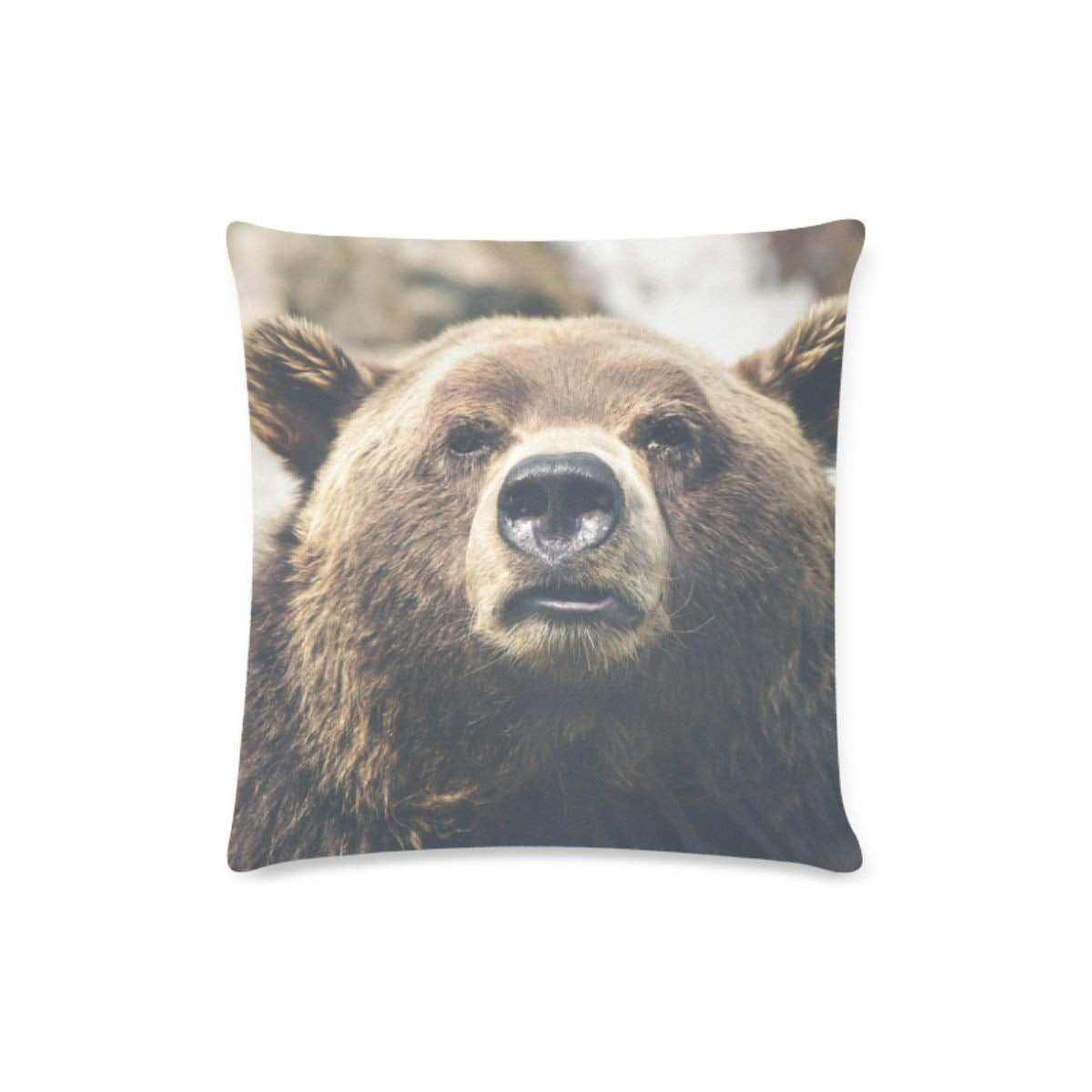 BPBOP Brown Bear Decorative Pillow Cases Sofa Throw Pillow Covers Two