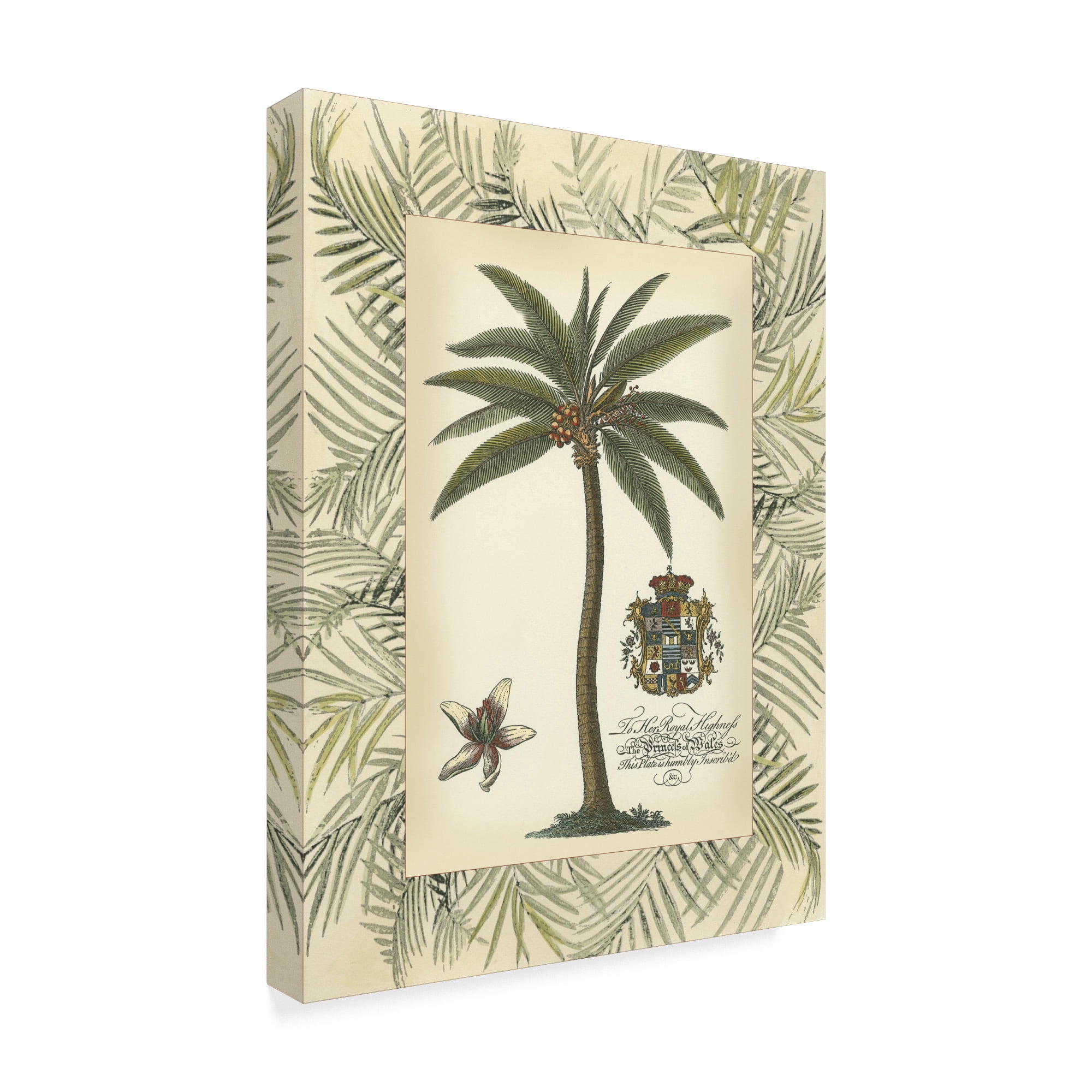 Trademark Fine Art 'Palm in Bamboo Frame I' Canvas Art by Vision Studio