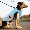 thumbnail image 5 of Reflective Breathable Mesh Dog Cooling Harness Vest, Summer Sun Protection Pet Jacket with Lift Handle & Leash D-Ring,Sky Blue,XL, 5 of 5
