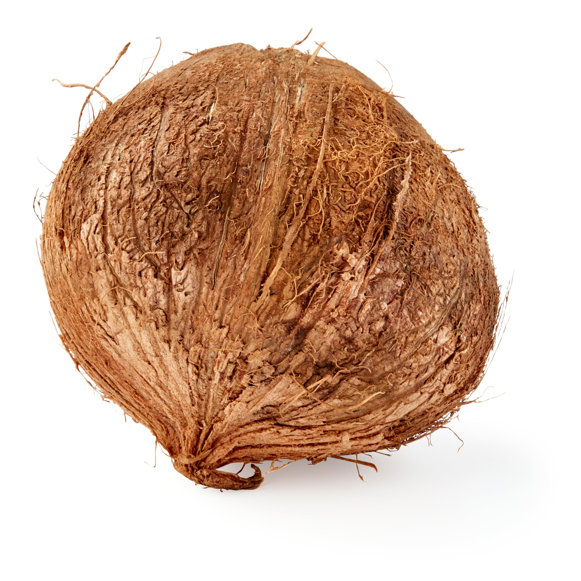 Fresh Coconut, Each
