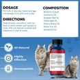 BestLife4Pets Cat UTI Urinary Tract Infection & Kidney Support
