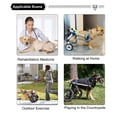 thumbnail image 4 of Chariot pour Pattes Arrière d'Animaux, Structure à 4 Roues Confortable et Extensible pour Extérieur, 4 of 7
