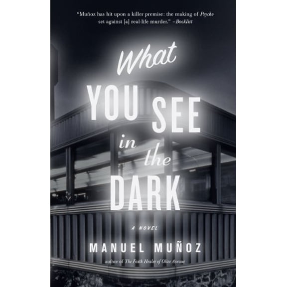Pre-Owned What You See in the Dark, 9781565125339, 1565125339, Hardcover, First Edition edition