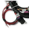 thumbnail image 2 of Holley EFI 558-110 Engine Wiring Harness, 2 of 3