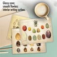 thumbnail image 7 of The Best Card Company 10 Assorted Thank You Notes Bulk Set 4x5.12 w/ Envelopes, 10x1 Designs, For Men, Women, Egg-cellence M10035TY, 7 of 7