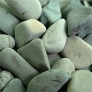 Polynesian Pebble | Green, 3-5, 5 lbs