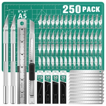 DIYSELF 250 Pcs Exacto Knife, Craft Knife, 2 Exacto Knives with Extra 235 Exacto Blades