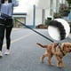 thumbnail image 3 of Correa para Perro Correa Reflectante para Perro para Correr-d, 3 of 5