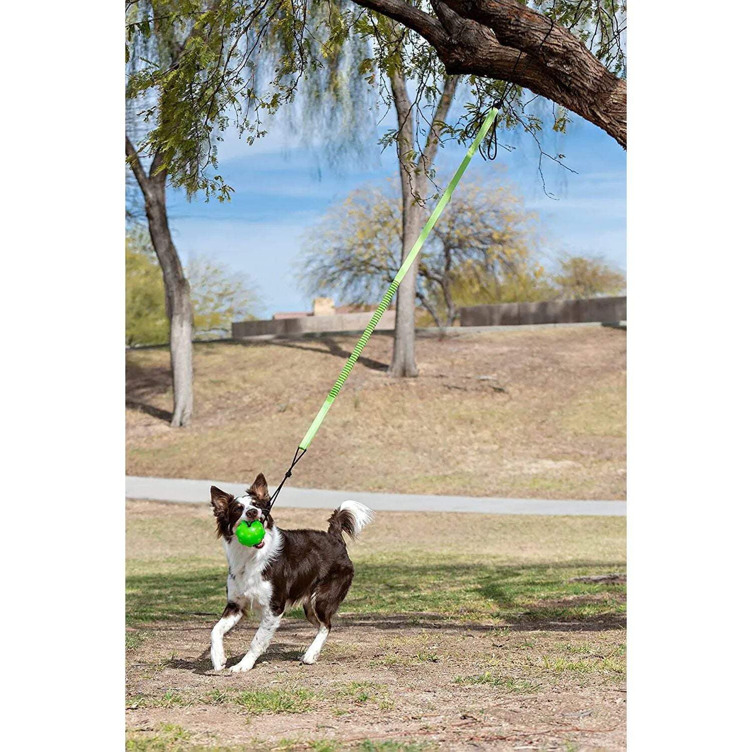 Jolly Pets JP071 Jolly Pets Tree Tugger Bungee, Green - Large