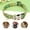 Green, variant on Didog Personalized Nylon Pet Dog Collar Engraved ID Name Adjustable Small Medium Large