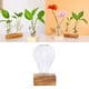 thumbnail image 3 of Maceta de vidrio para escritorio, florero con bulbos, contenedor para plantas hidropónicas, decorativa. Marrón 1 Botella, 3 of 9