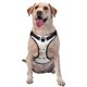 thumbnail image 1 of Fotbe Cute Kittens And Puppy Arnés para Perro con Estampado –Chaleco Ajustable Acolchado con Asa de Control para Perros Grandes-X-Large, 1 of 6