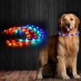 thumbnail image 5 of USB rechargeable light-emitting adjustable collar for small dogs and cats, reflective at night, 5 of 5
