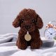 thumbnail image 4 of Muñeco de Peluche para Perro XCF, Peluche de Perro, Cojín para Cachorro, Color Marrón Oscuro, 4 of 4