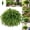 38 Leaves, variant on UV-Resistant Artificial Boston Fern for Outdoor Planters – Lifelike Silk Faux Plant for Patio, Porch & Garden, 38/60/88 Leaf