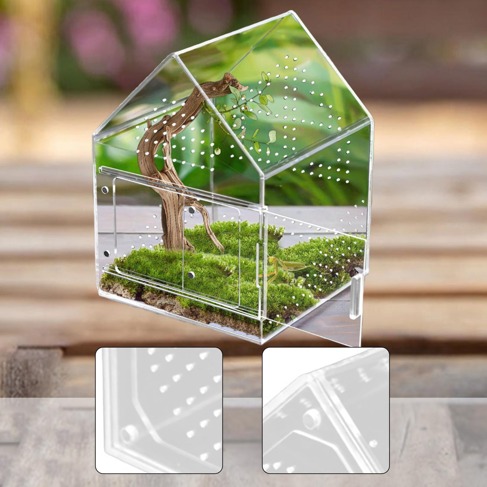 Jumping Spiders Enclosure Small Acrylic Terrarium with Easy-clean Surface for Pet Insects and Mini Reptiles
