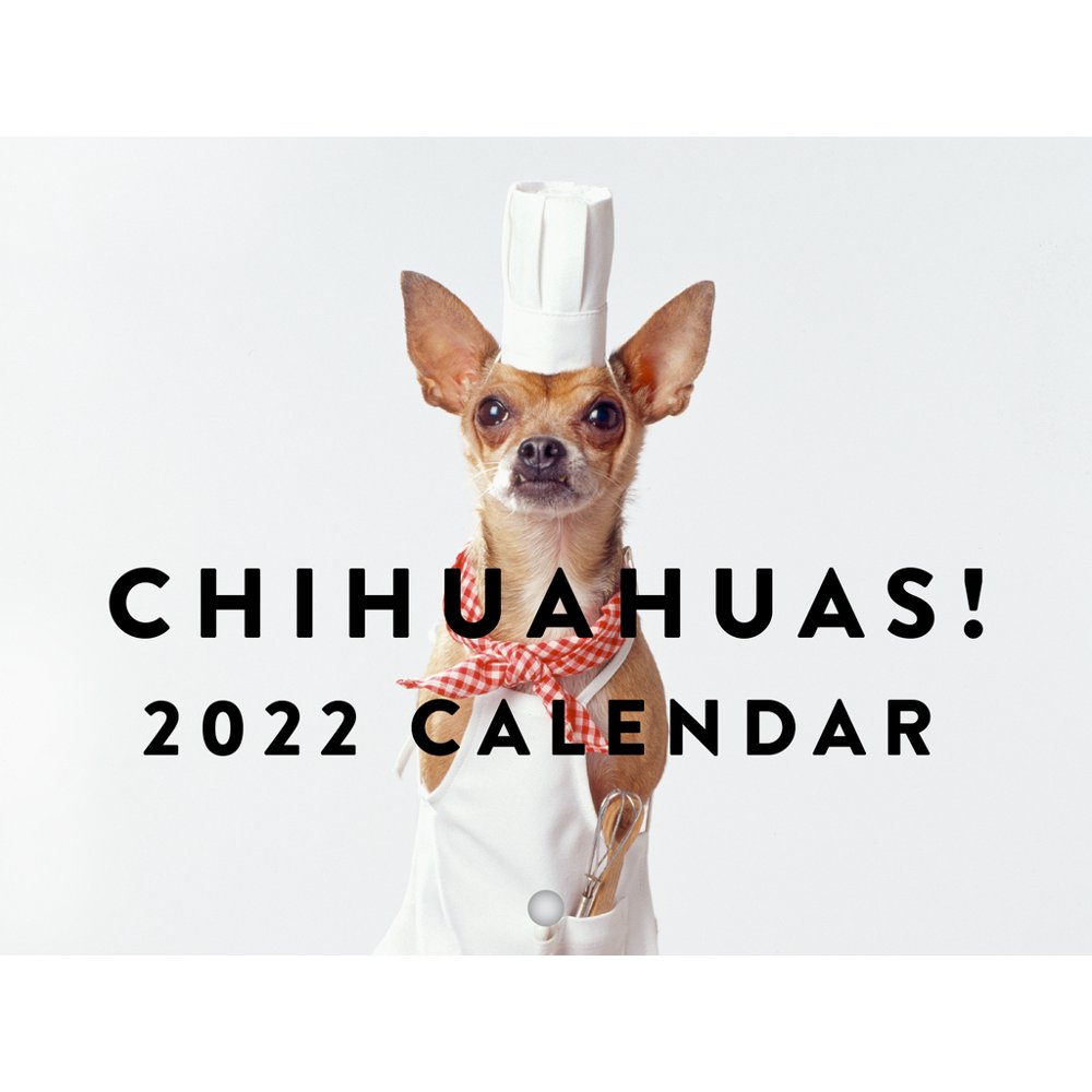 Chihuahuas 2022 Wall Calendar Funny Cute Dog Breed Puppies Large 18 