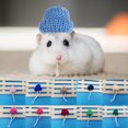 thumbnail image 1 of 10 Uds. Sombrero de hámster y sombrero de conejillo de indias, traje de Animal pequeño, traje de Cosplay para ratas, planeador de azúcar, chinchilla, hurón, erizos, sombreros para mascotas, 1 of 2
