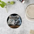 thumbnail image 4 of Drink Coasters Set of 4 with Holder Portrait of beautiful fluffy gray cat with blue eyes lying on wooden table Water Absorbent Ceramic Coasters Tabletop Protection,Suitable for Various Cup, 4 of 4