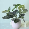 thumbnail image 4 of Aonity Artificial Flower + Flower Pot [Round Cup + Monstera Leaf], 1Pc Plants Potted Artificial Plants in Pot Green Plants Bonsai with White Round Pot, 4 of 6