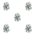 thumbnail image 1 of Decoraciones realistas Injueey terrarios Begonia Blanca artificial no tóxica bajo mantenimiento, 1 of 6