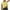 Yellow, variant on BLVB Workout Tops for Women Short Sleeve Crewneck Sports Yoga Running Shirts Loose Fit Breathable Activewear Gym Athletic Tee Top