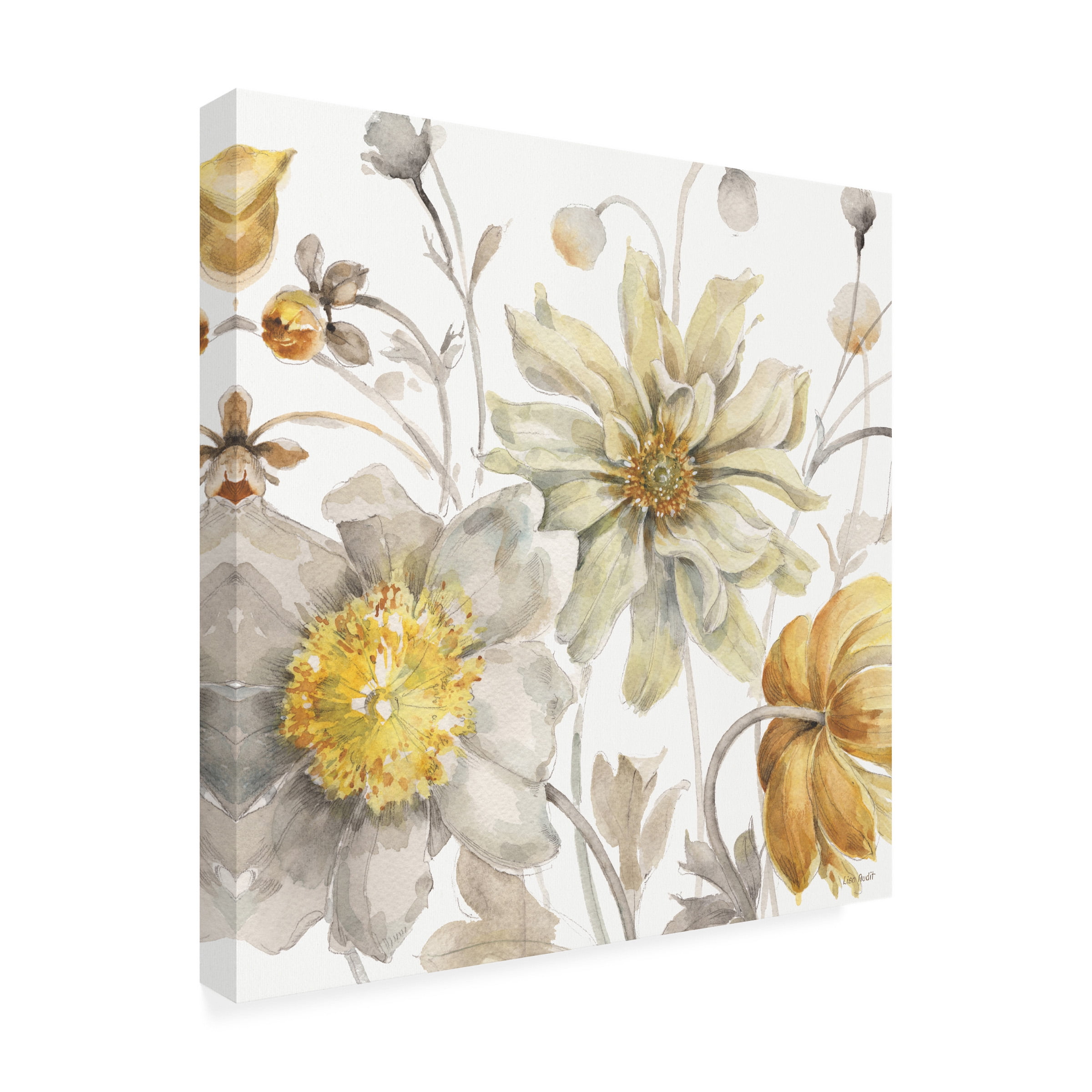 Trademark Fine Art 'Fields of Gold III' Canvas Art by Lisa Audit