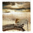 thumbnail image 3 of Ambesonne Beige Shower Curtain, Wild Leopard, 69"Wx84"L, Beige and Brown, 3 of 5