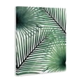 thumbnail image 3 of Stupell Industries Clean Tropics Layered Palms Canvas Wall Art design by Unknown, 30 x 24, 3 of 7