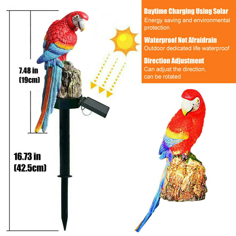  HSHD Solar Animal Lights Outdoor-Macaw Figurine Waterproof  Garden Decor with Metal Yard Art, Parrot Statue Light for Pathway Patio  Backyard Decoration Lawn Ornaments(Parrot) : Tools & Home Improvement