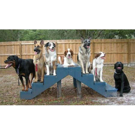 - Dog Training Canine Alpha CD Dog Whisperer 20 Books Breeding Puppy Pit Bull