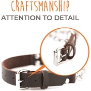 Mighty Paw Leather Dog Training Collar, Martingale Dog Collar with Stainless Steel Chain, Large