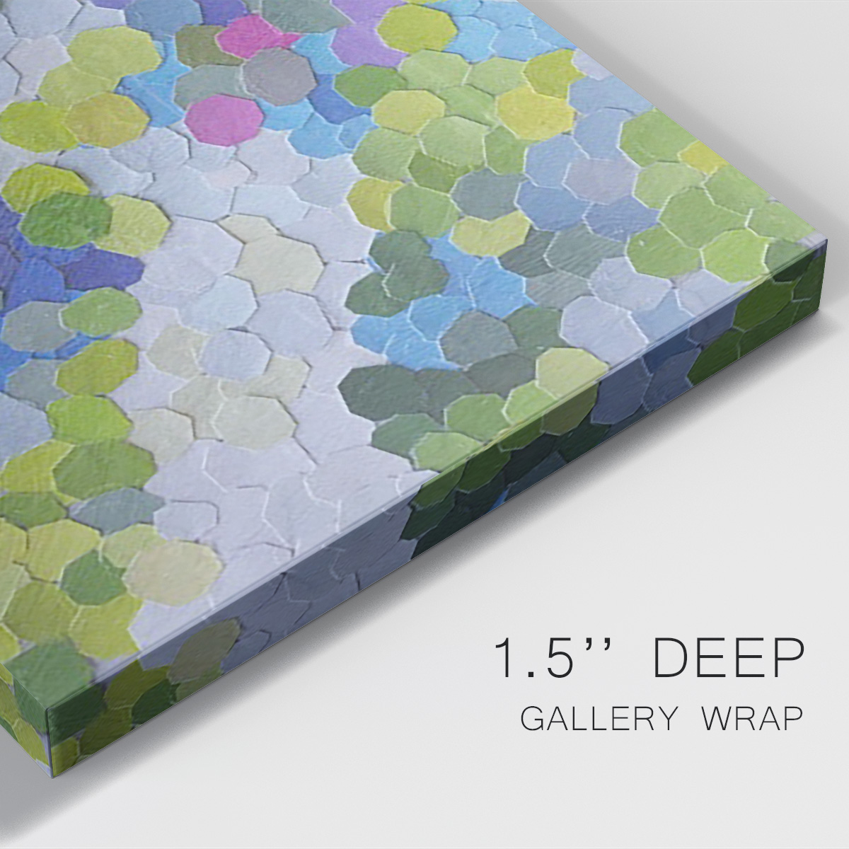 A Stroll through Selby Gardens Premium Gallery Wrapped Canvas - Ready to Hang
