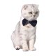 thumbnail image 3 of Corbata de pajarita de algodón para mascotas para perros gatos L, 3 of 5