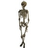 Costumes For All Occasions Pe42022 Hanging Skeleton 60In