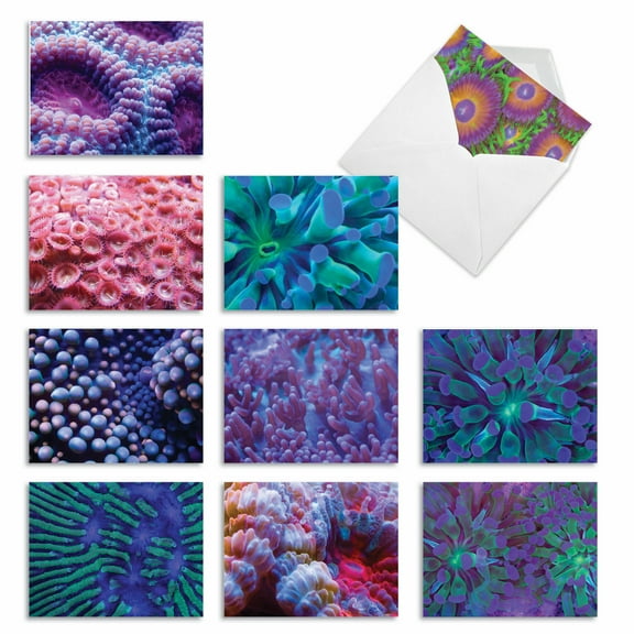 10 Pack All Occasion Blank Note Cards With Envelopes - Under The Sea