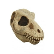 Ghoulish Productions T Rex Skull Adult Mask