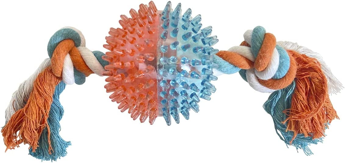 Animal Planet Spikey Round Rubber Toy with Rope