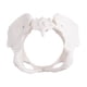 thumbnail image 3 of Life Size Female Pelvis Model, Hip Model - Female Anatomy Model, Hip Bone Pelvic Model Female Anatom, 3 of 5