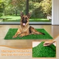 thumbnail image 4 of Artificial Grass, Durable Material, Quick Drainage Pet Friendly Turf for Dog Training Area, Indoor Outdoor Use, Weatherproof, Non Slip Grip, Easy to Clean, Pack of 2, 4 of 6