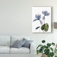 thumbnail image 3 of Trademark Fine Art 'Xray Cyclamen' Canvas Art by Judy Stalus, 3 of 4