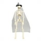 thumbnail image 1 of Decoraciones de Halloween, adornos de Halloween, regalos de Halloween, esqueleto de Halloween, esqueleto de novia, simulación de esqueleto humano de plástico, esqueleto de pareja, decoración de esquel, 1 of 2